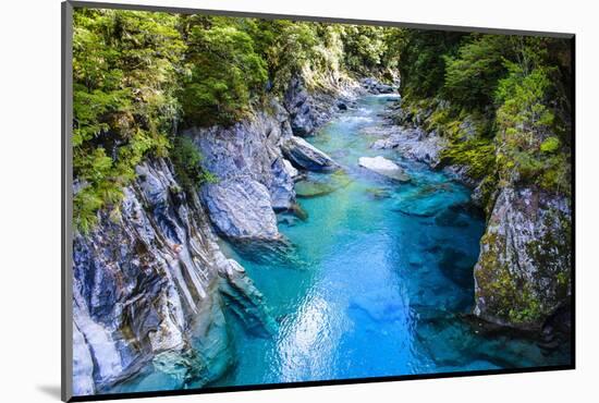 The Stunning Blue Pools, Haast Pass, South Island, New Zealand, Pacific-Michael Runkel-Mounted Photographic Print