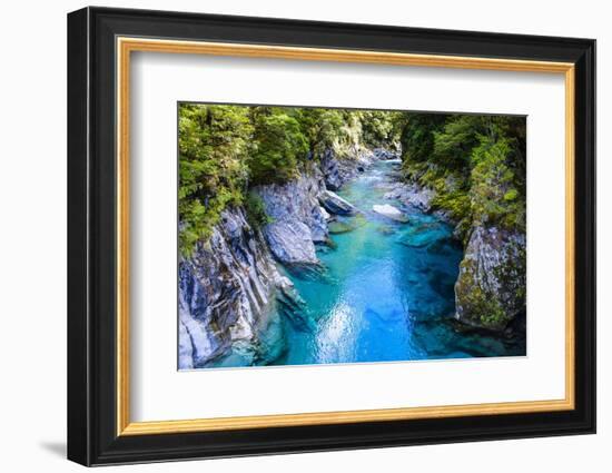 The Stunning Blue Pools, Haast Pass, South Island, New Zealand, Pacific-Michael Runkel-Framed Photographic Print