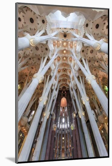 The Stunning Interior of the Sagrada Familia, Spain-Paul Dymond-Mounted Photographic Print