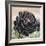 The Succulent-Ashley Davis-Framed Art Print