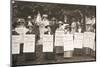 The suffragettes of Ealing, London, 1912-Unknown-Mounted Photographic Print