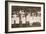 The Suffragettes of Ealing Publicise a Public Demonstration to Be Held on Ealing Common on 1st June-English Photographer-Framed Photographic Print