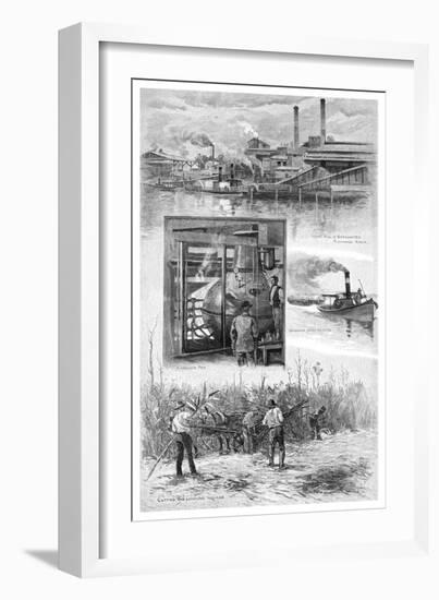 The Sugar Industry, Richmond River, New South Wales, Australia, 1886-JR Ashton-Framed Giclee Print