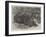 The Sumatra Rhinoceros at the Zoological Society's Gardens-Johann Baptist Zwecker-Framed Giclee Print