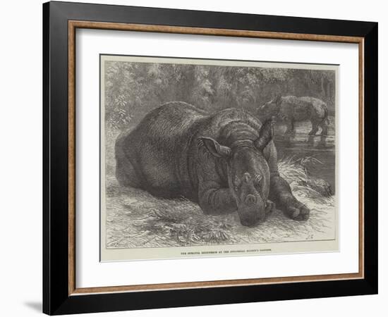 The Sumatra Rhinoceros at the Zoological Society's Gardens-Johann Baptist Zwecker-Framed Giclee Print