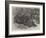 The Sumatra Rhinoceros at the Zoological Society's Gardens-Johann Baptist Zwecker-Framed Giclee Print