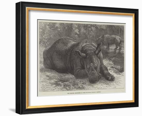 The Sumatra Rhinoceros at the Zoological Society's Gardens-Johann Baptist Zwecker-Framed Giclee Print