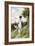 The Summer Stroll-Giovanni Boldini-Framed Giclee Print