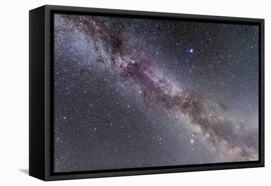 The Summer Triangle Stars in the Milky Way Through Cygnus, Lyra and Aquila-null-Framed Premier Image Canvas