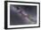 The Summer Triangle Stars in the Milky Way Through Cygnus, Lyra and Aquila-null-Framed Photographic Print