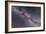 The Summer Triangle Stars in the Milky Way Through Cygnus, Lyra and Aquila-null-Framed Photographic Print