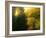 The Sun Hour-kirilstanchev-Framed Art Print