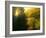 The Sun Hour-kirilstanchev-Framed Art Print