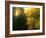 The Sun Hour-kirilstanchev-Framed Art Print