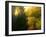 The Sun Hour-kirilstanchev-Framed Art Print