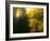 The Sun Hour-kirilstanchev-Framed Art Print