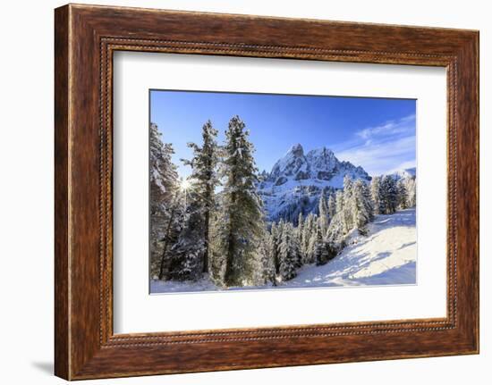 The sun illuminates the snowy trees and Sass De Putia in the background, Passo Delle Erbe, Funes Va-Roberto Moiola-Framed Photographic Print