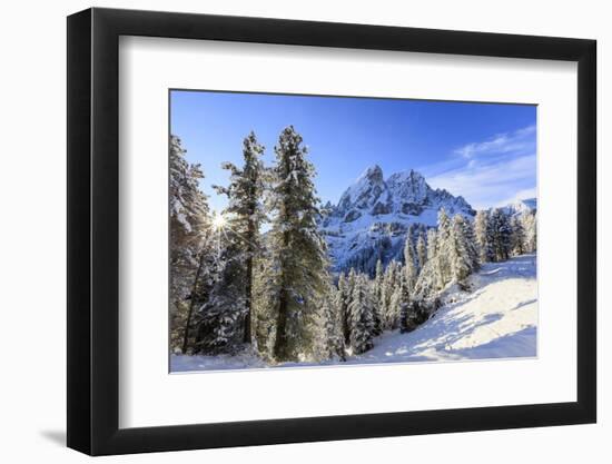 The sun illuminates the snowy trees and Sass De Putia in the background, Passo Delle Erbe, Funes Va-Roberto Moiola-Framed Photographic Print