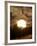 The Sun is Seen During the Solar Eclipse, in Madras, India-null-Framed Photographic Print