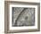 The Sun, Moon and Stars-Camille Flammarion-Framed Giclee Print