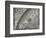 The Sun, Moon and Stars-Camille Flammarion-Framed Giclee Print