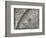 The Sun, Moon and Stars-Camille Flammarion-Framed Giclee Print