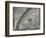 The Sun, Moon and Stars-Camille Flammarion-Framed Giclee Print