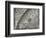 The Sun, Moon and Stars-Camille Flammarion-Framed Giclee Print