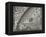 The Sun, Moon and Stars-Camille Flammarion-Framed Premier Image Canvas