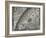 The Sun, Moon and Stars-Camille Flammarion-Framed Giclee Print