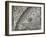 The Sun, Moon and Stars-Camille Flammarion-Framed Giclee Print