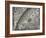 The Sun, Moon and Stars-Camille Flammarion-Framed Giclee Print