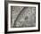 The Sun, Moon and Stars-Camille Flammarion-Framed Giclee Print