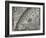 The Sun, Moon and Stars-Camille Flammarion-Framed Giclee Print