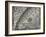 The Sun, Moon and Stars-Camille Flammarion-Framed Giclee Print