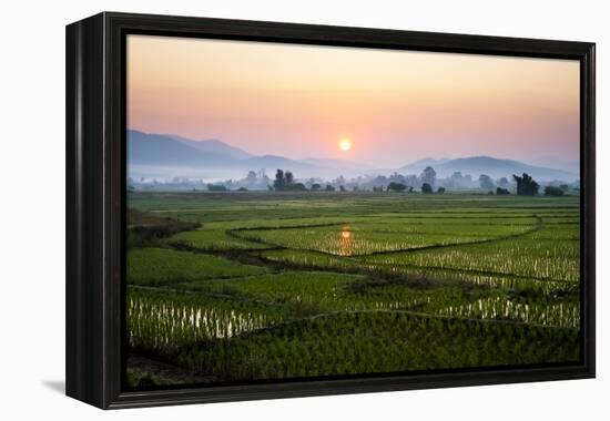 The Sun Sets Behind Foggy Hills and Expansive Rice Paddy Fields Near Chiang Mai, Thailand-Dan Holz-Framed Premier Image Canvas