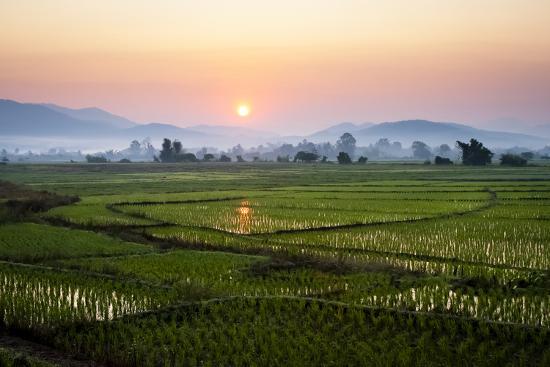 The Sun Sets Behind Foggy Hills And Expansive Rice Paddy Fields Near