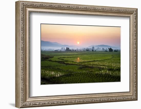 The Sun Sets Behind Foggy Hills and Expansive Rice Paddy Fields Near Chiang Mai, Thailand-Dan Holz-Framed Photographic Print