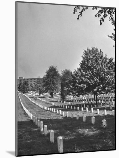 The Sun Shining Down on the Arlington Cemetery-Yale Joel-Mounted Photographic Print
