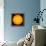 The Sun-null-Framed Premier Image Canvas displayed on a wall