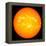 The Sun-null-Framed Premier Image Canvas