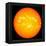 The Sun-null-Framed Premier Image Canvas