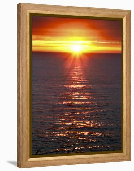 The Sun-Adrian Campfield-Framed Premier Image Canvas