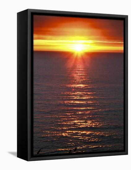 The Sun-Adrian Campfield-Framed Premier Image Canvas