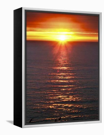 The Sun-Adrian Campfield-Framed Premier Image Canvas