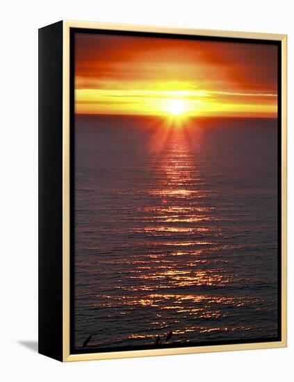 The Sun-Adrian Campfield-Framed Premier Image Canvas