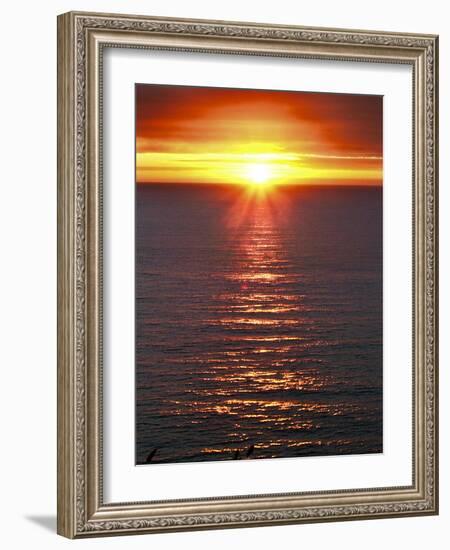 The Sun-Adrian Campfield-Framed Photographic Print