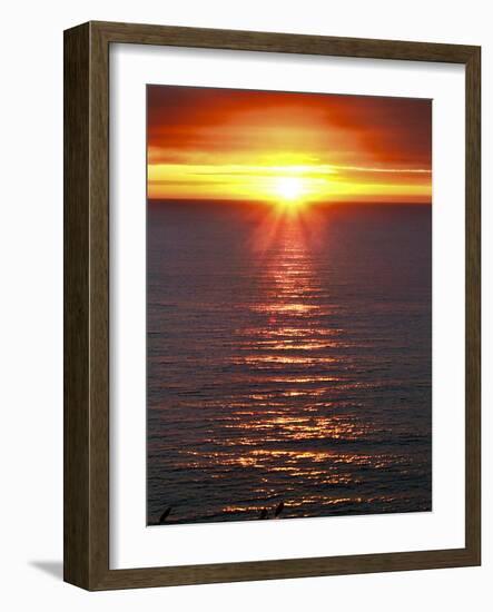 The Sun-Adrian Campfield-Framed Photographic Print
