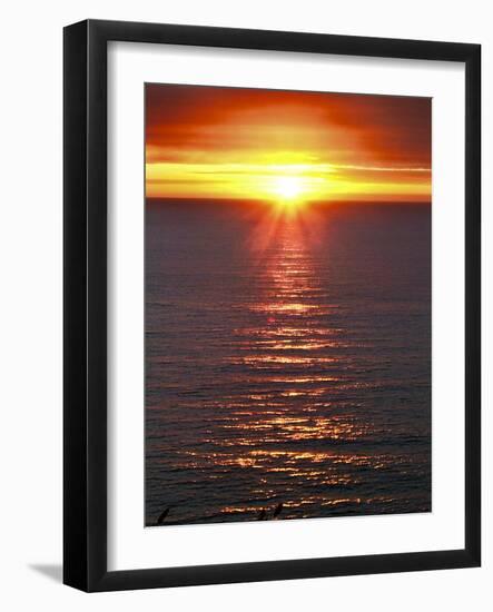 The Sun-Adrian Campfield-Framed Photographic Print