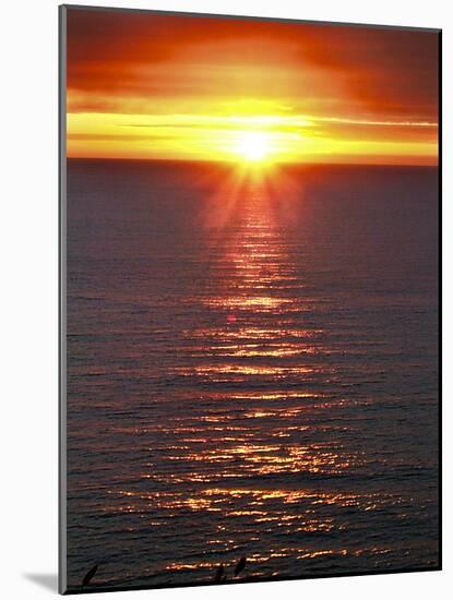 The Sun-Adrian Campfield-Mounted Photographic Print